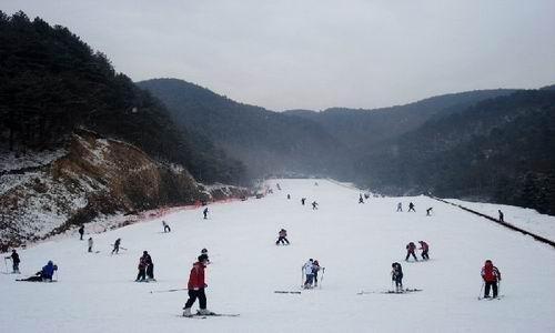 多人一同滑雪