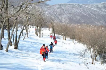 乡村雪景