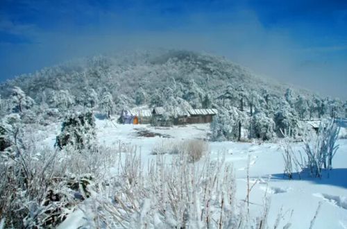 临安雪景